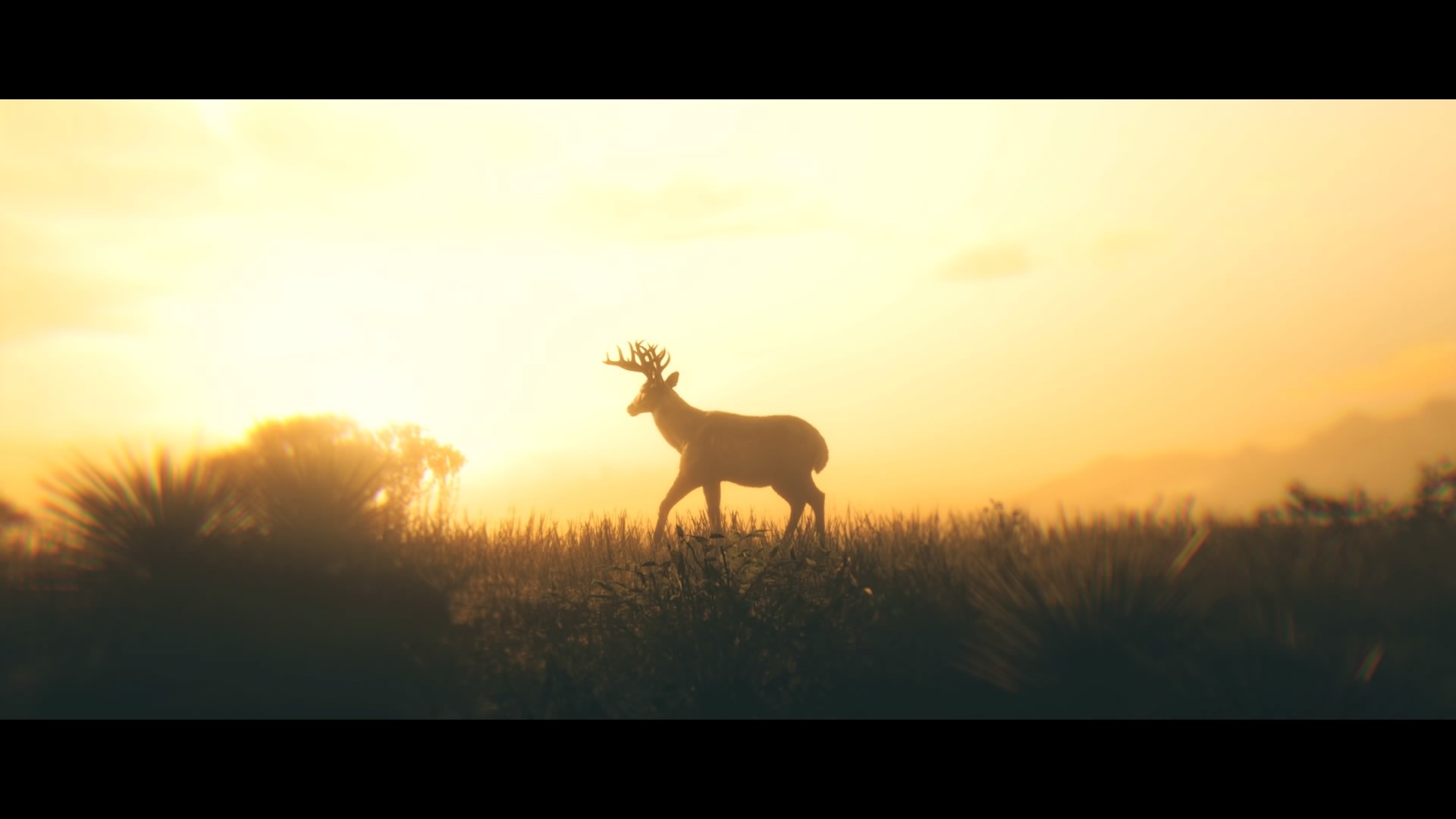 Read Dead Redemption 2 screenshot deer